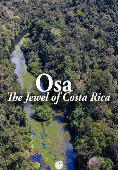 OSA: The Jewel of Costa Rica