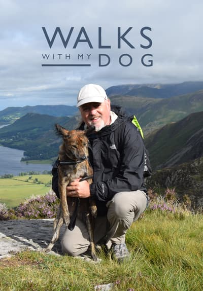 Walks With My Dog