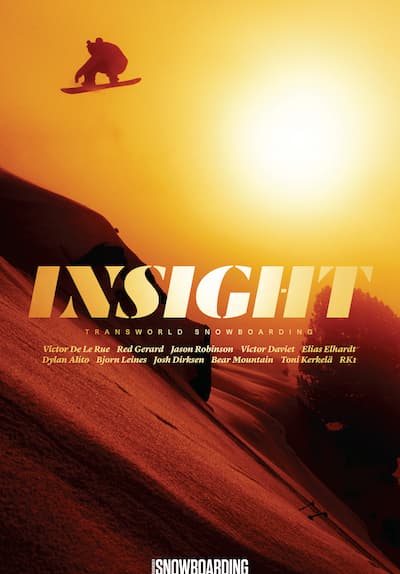 Insight
