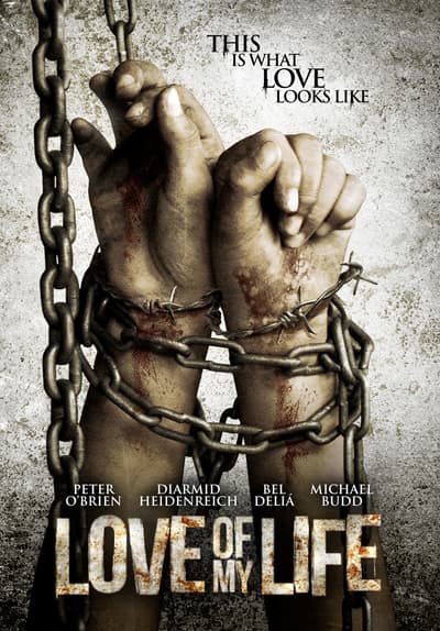 Love of My Life Full Movie Poster Image