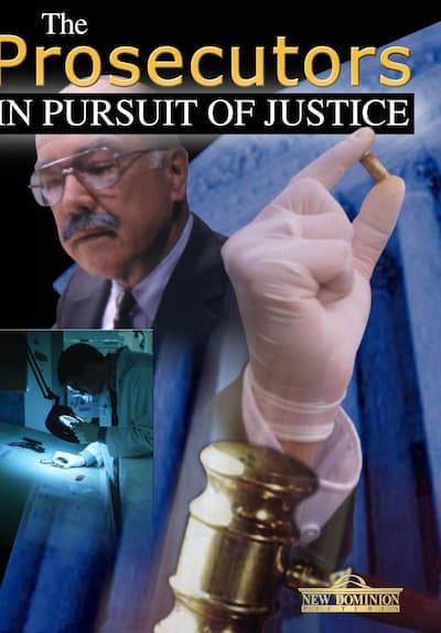 The Prosecutors: In Pursuit of Justice S01:E10 - Fatal Error Free TV Episode Poster Image