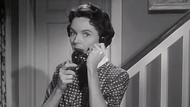 Watch Father Knows Best S02:E01 - Art of Salesmanship Free ...