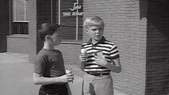 Watch Dennis the Menace S04:E31 - The Lost Dog TV Series Free Online | Tubi