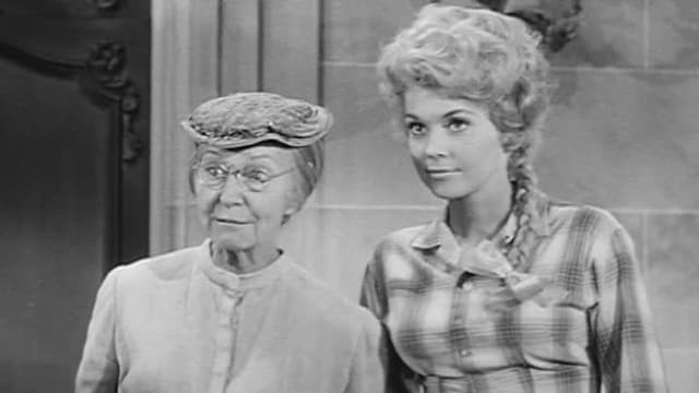 Watch The Beverly Hillbillies S02:E41 - The Clampett Look Free TV | Tubi