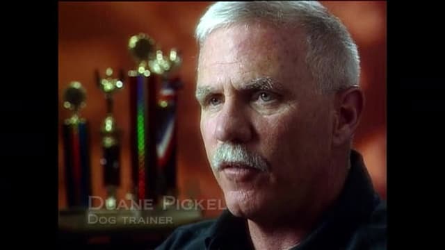 Films Et Séries Tv Avec Dennis Farina Watch Unsolved Mysteries With Dennis Farina S08:E15 - Episode 169 TV