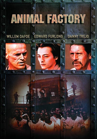 Animal Factory Streaming Vf Watch Animal Factory (2000) Full Movie Free Online Streaming | Tubi