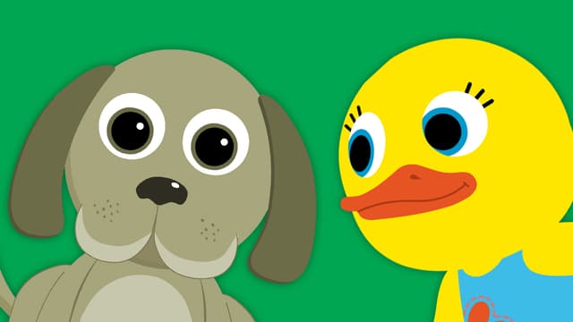 Watch Animal Fun with Tillie the Duck S01:E01 - Animal Playd Free TV | Tubi