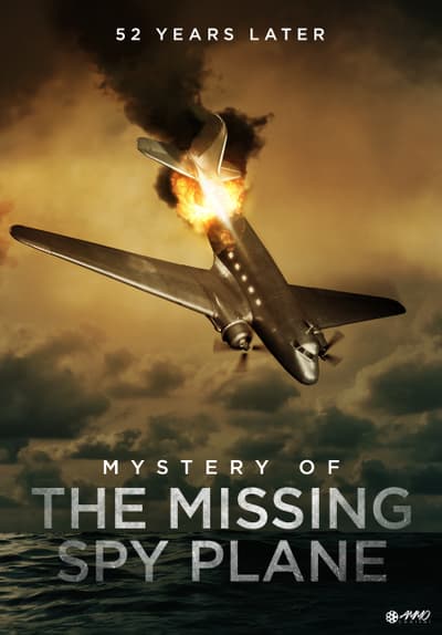 missing plane time travel movie