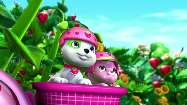 Watch Strawberry Shortcake S02:E01 - The Berry Big Harvest Free TV | Tubi