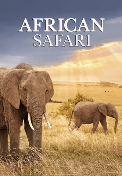 Watch African Safari (2006) Full Movie Free Online Streaming | Tubi